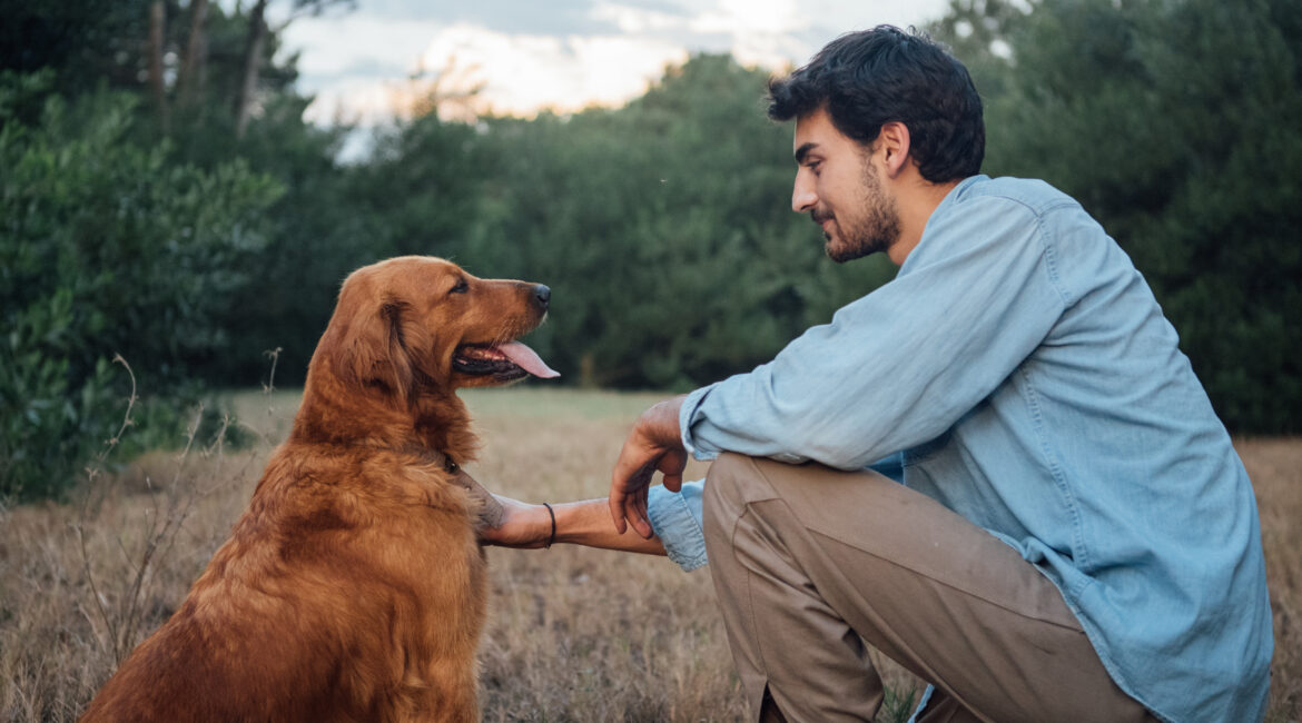 The Importance of Pets