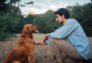 The Importance of Pets